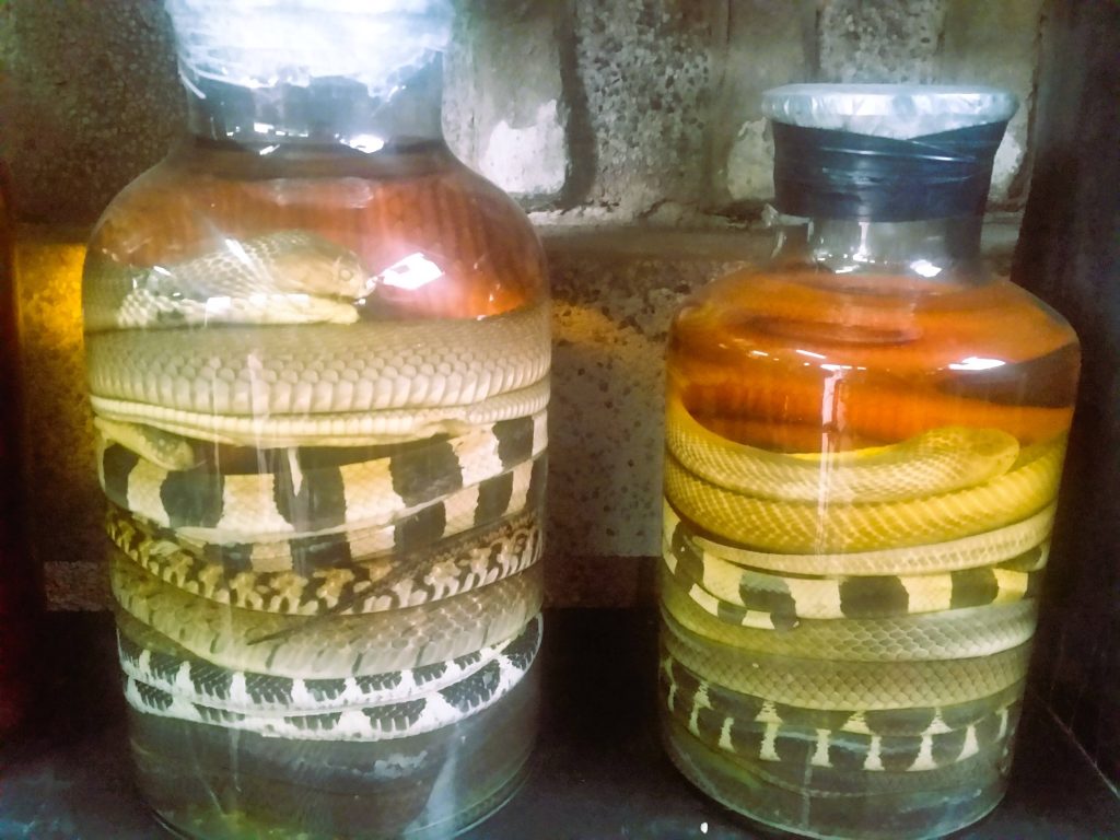 snake-wine-in-jars